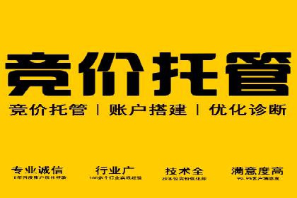 SEM服务托管实战案例：数据驱动营销